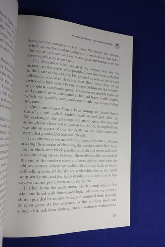 THE WAY OF A THOUSAND ARROWS Jonathan Drane CAMINO DE SANTIAGO SPAIN Travel Book - Picture 10 of 12