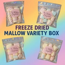 Freeze Dried Marshmallow Box - 4 Packets of Marshmallows Snacks