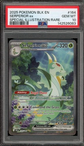 Pokemon Serperior ex Black Bolt Special Illustration Rare #164 PSA 10 Gem Mint