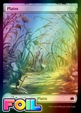 x1 Plains BLB Bloomburrow MTG 262 FOIL FULL ART BASIC LAND M/NM 1x