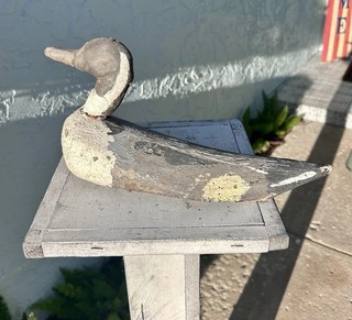 California Palm Frond Pintail Duck Decoy W/ Shot Damage!