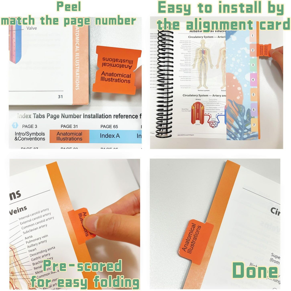 Index Tabs for AMA CPT Book, ICD-10 Code Book, HCPCS Level II Book, 3 ...