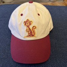 Men's Homefield Khaki Minnesota Golden Gophers  NWOT Clean Up Adjustable Hat
