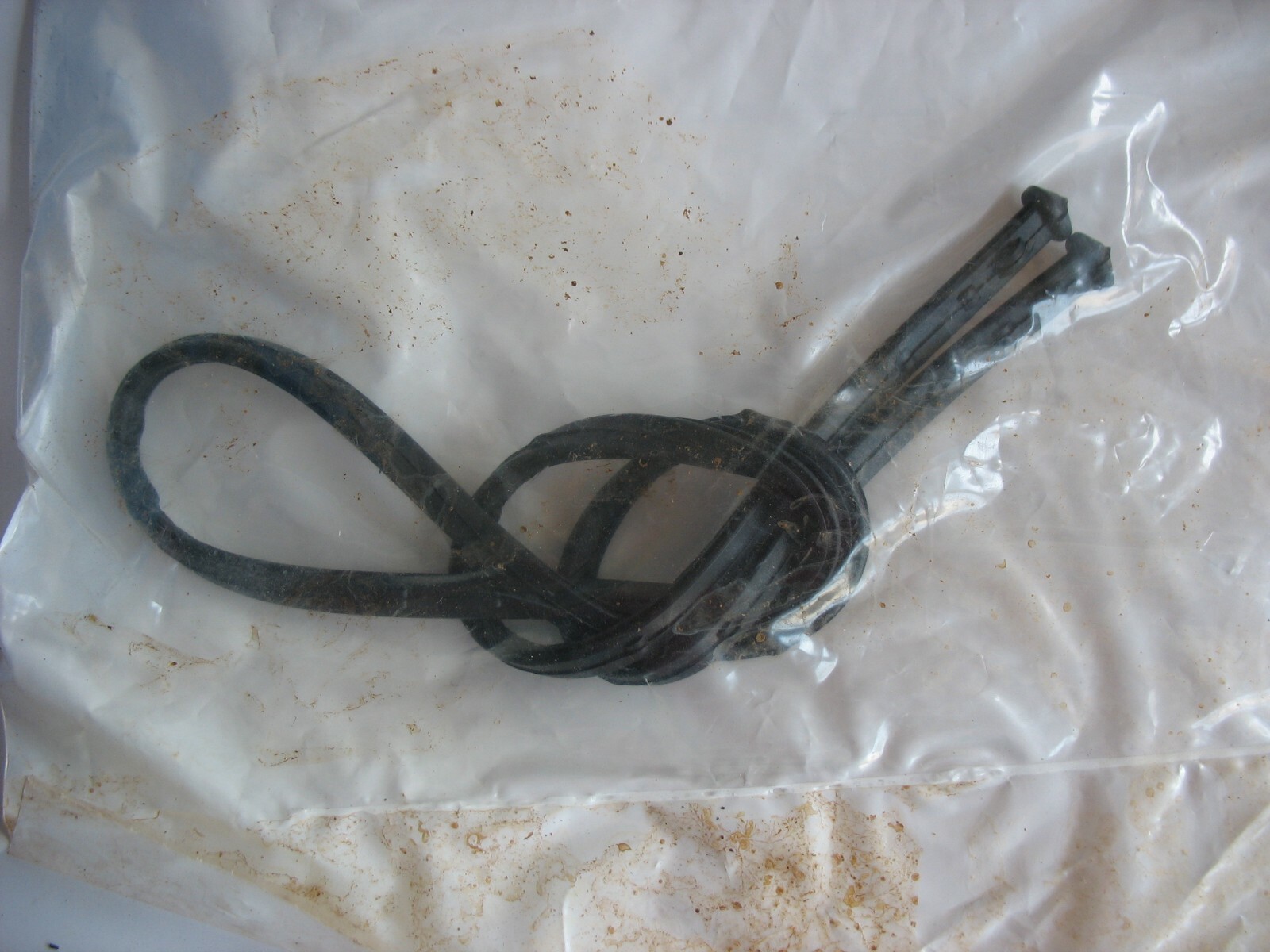 NOS International 1833655c1 Lower crankcase seal eBay