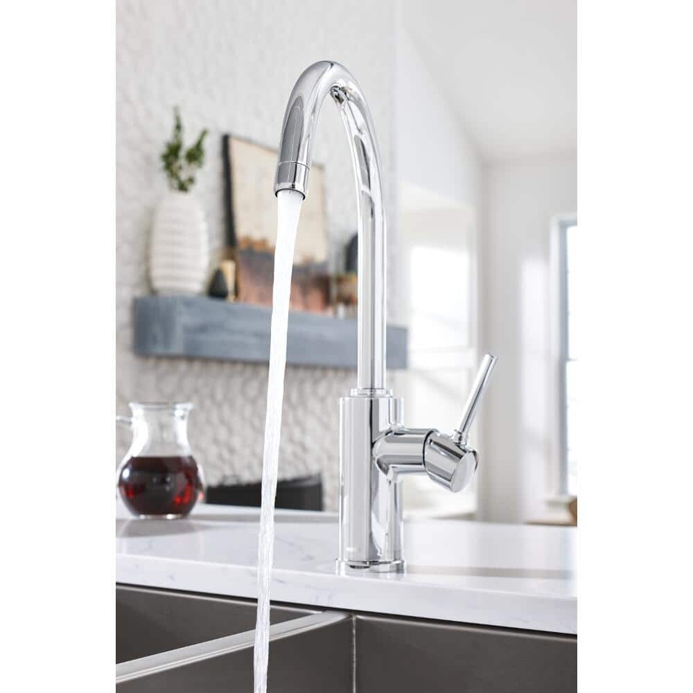 Sombra SingleHandle Standard Kitchen Faucet with Side Sprayer in