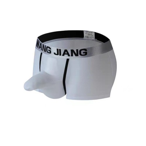 Men Trunks Underwear Boxer Briefs Breathable Elephant Nose Mesh Pouch Panties - Foto 7 di 18
