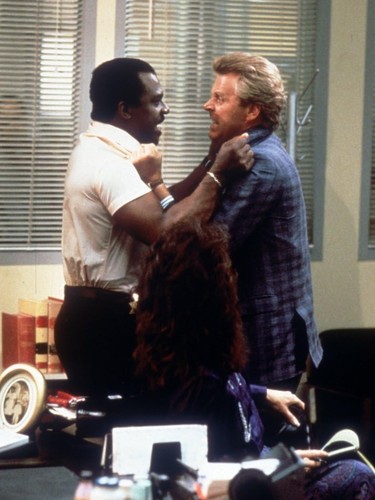 Sledge Hammer: The Complete Series (DVD) David Rasche Anne-Marie Martin - Picture 2 of 5