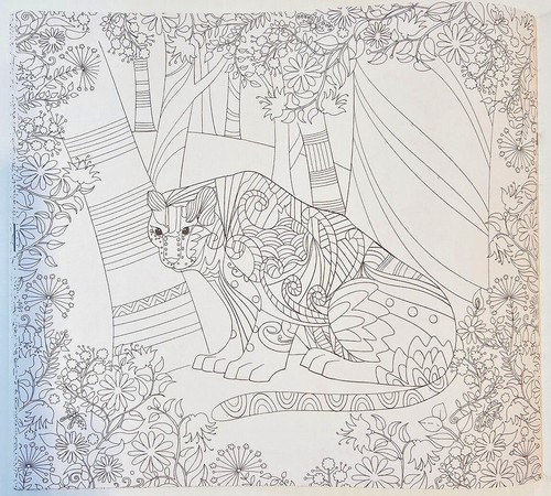 Korean Coloring Books ~ Single Volumes & Sets ~ Forest, Garden, Fairy Tales - Foto 20 di 46