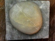 Rock Specimen #218--UNKNOWN SPECIMEN