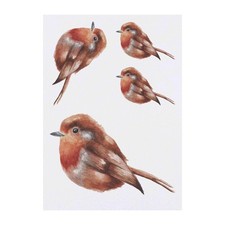 4 x 'Robin' Temporary Tattoos / Transfers TO00074368 