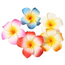 GSHLLO 10 Pcs 7cm Multicolor Hawaiian Hair Clip Beach Foam Flower Headpieces