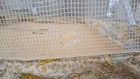 1970-1980s Vintage Playard Play Pen Folding Mesh Sided Baby Playpen Elephant — photo 5