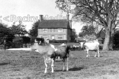Mrr-39 Washbrook Farm, Hurst, Sussex. Foto
