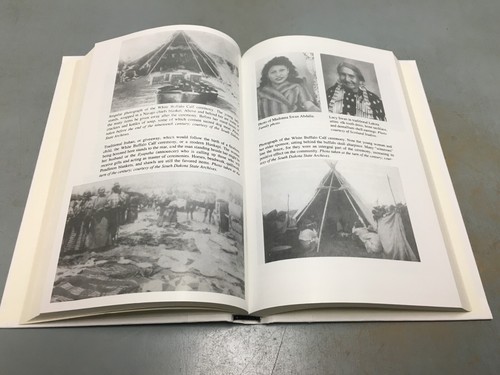 "Walking in the Sacred Manner" 1st/1st HC/DJ 2021 Plains Indians - Picture 9 of 12