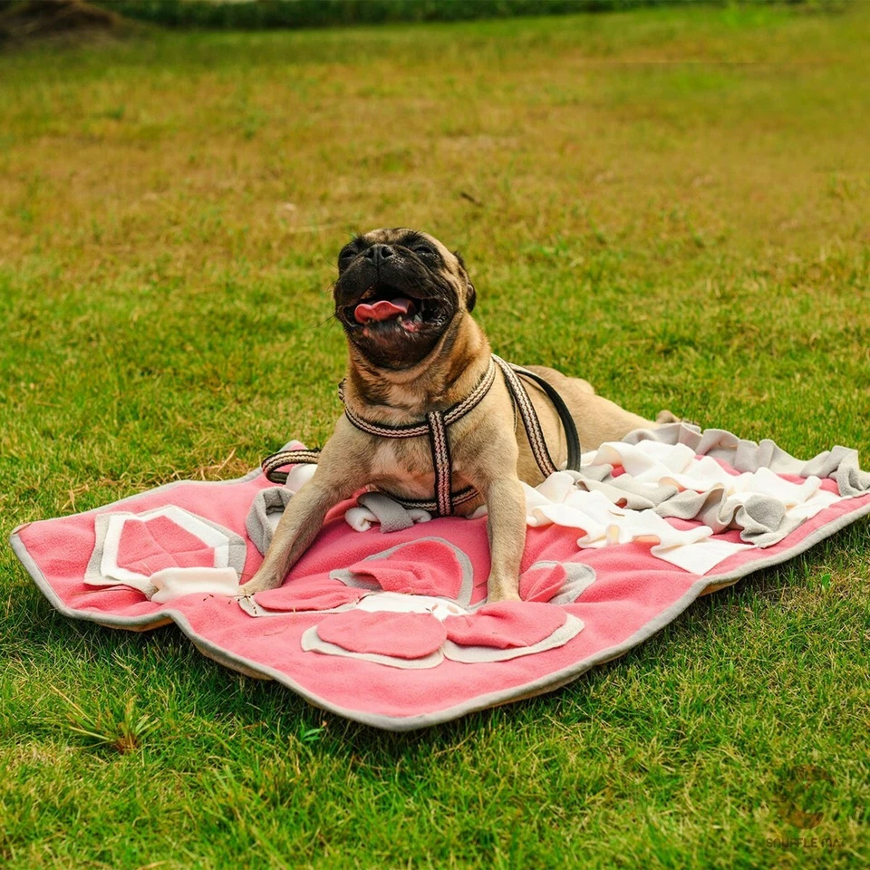 Hunde Schnüffelteppich Trainingsmatte Futtermatte Intelligenzspielzeug 80x60cm - Bild 3 von 4