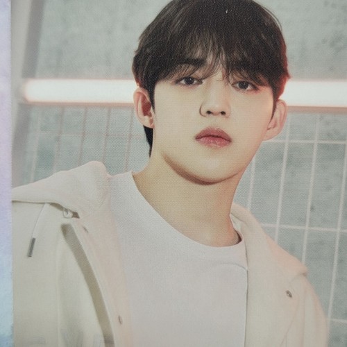 SEVENTEEN FOLLOW JAPAN TOUR AGAIN Photo card Official Merchandise MD PC - Picture 6 of 239