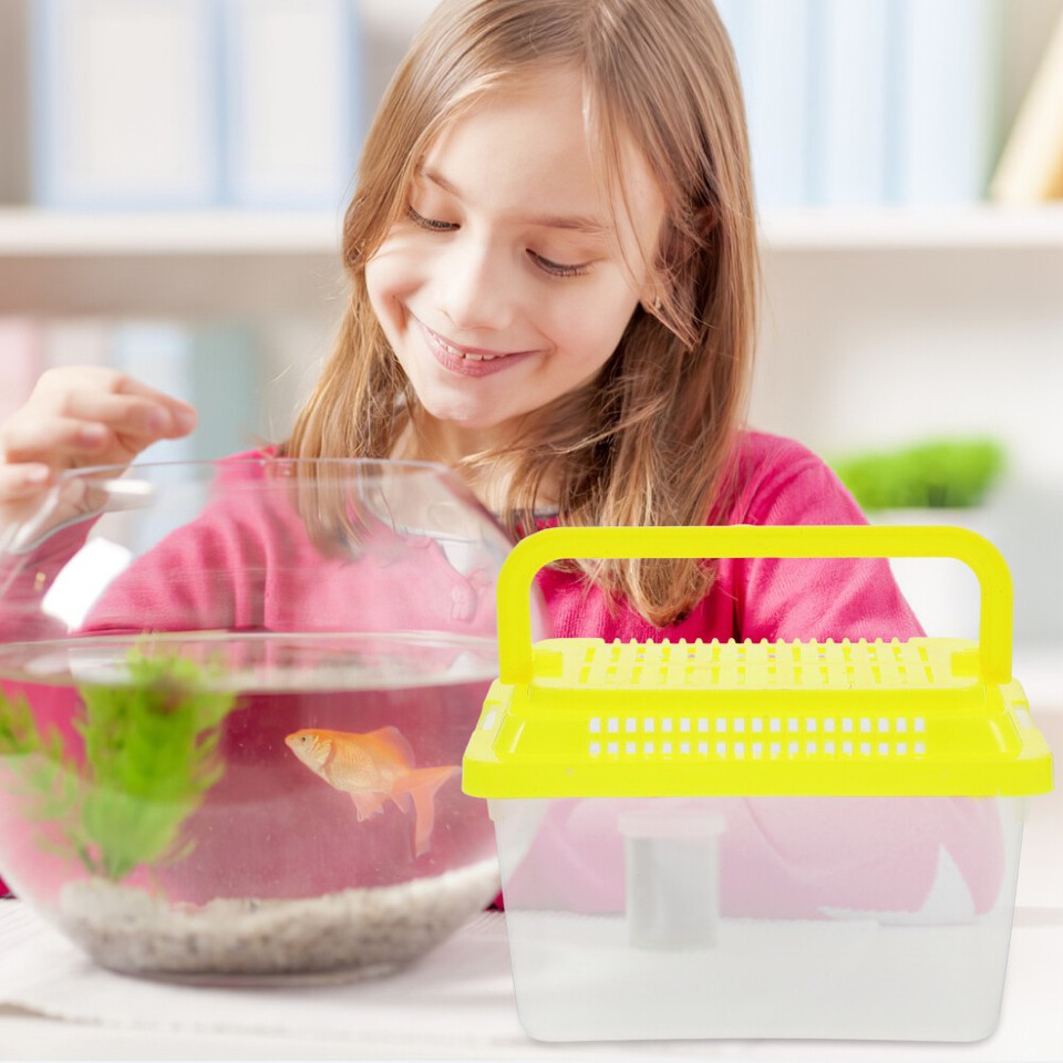 Small Plastic Reptile Terrarium Fish Tank for Travel Critter Turtle