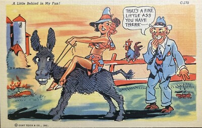 That s A Fine Little Ass Postcard Vintage Risqué Comic Behind In My Fun Sexy