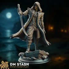 Hooded Pirate Miniature | Swashbuckler Rogue or Fighter Mini | By DM Stash