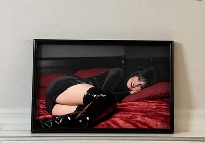 Elvira Mistress Of The Dark Movie Poster