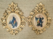 Antikes Paar Bilder Michelangelo Meucci Ölgemälde Trompe L'oeil Singvögel