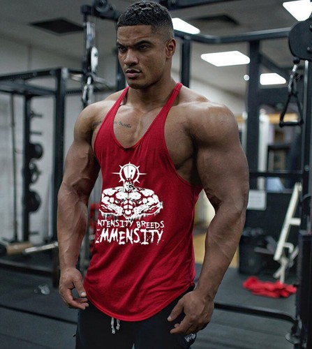 Men's Workout Tank Tops Gym Shirts 