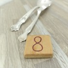 Picture 8 of 8
