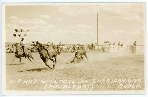 RPPC Postcard Rodeo Sheridan WY Ole Rice Bulldogging Doubleday Unposted