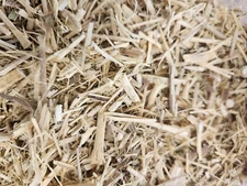 SIBERIAN GINSENG ROOT 100% WILD HARVESTED HERB  100 Grams 