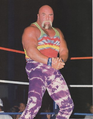 Superstar Billy Graham Pro Wrestling Magazine Page WWF WWE  Wrestler
