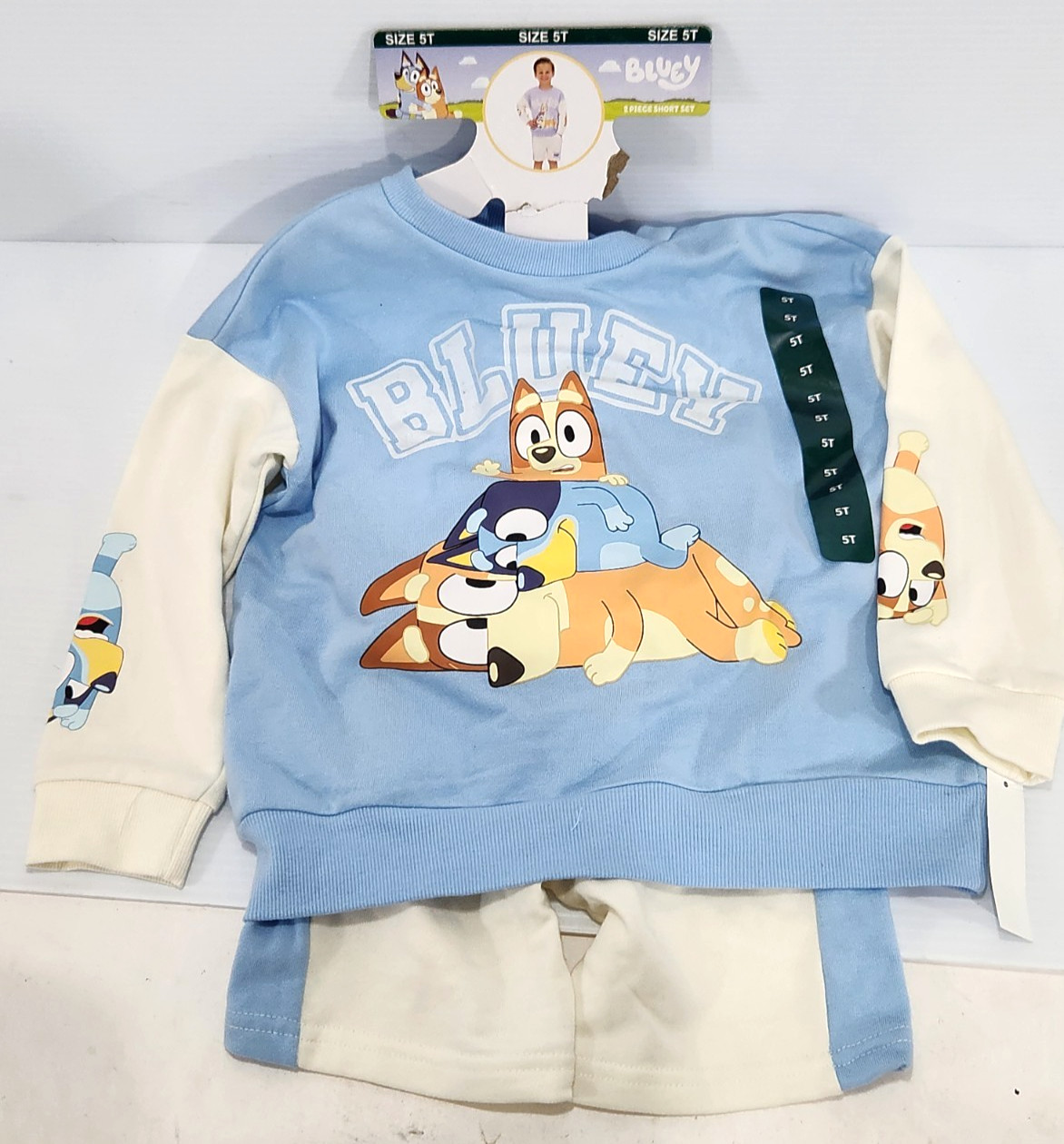 NWT Bluey 2-Piece Short Set Size 5T Shirt Shorts Blue Children's Apparel Network