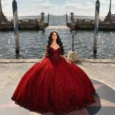 Ball Gown Quinceanera Dresses Vestidos De 15 Anos Appliques Birthday Party