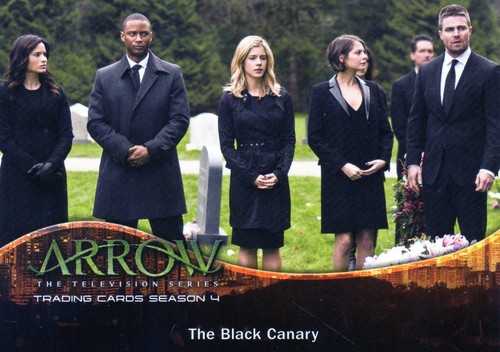 Arrow Season 4 Individual Trading Cards - Picture 58 of 72
