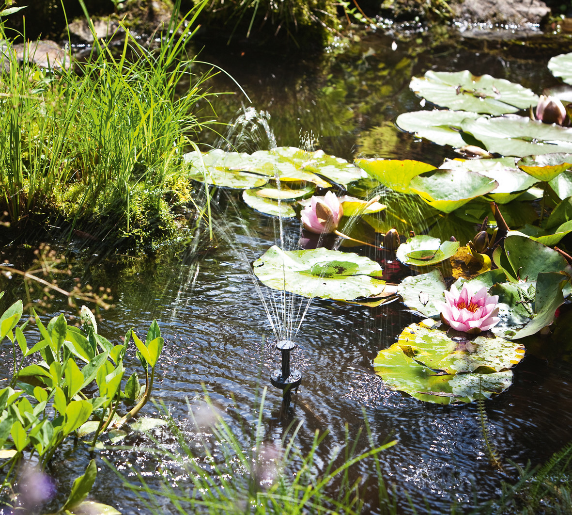 Solar Teichfilter Set 8300 mit Akku Gartenteich