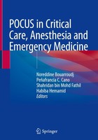Pocus In Critical Care, Anesthesia And Emergency Medicine Noreddine Bouarroudj