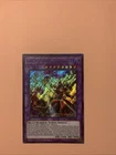 Yugioh Gladiator Beast Tamer Editor 1st Edition Secret Rare BLLR-EN023 NM