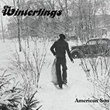 The Winterlings - American Son CD Alternative Folk Songwriter VGC LOOK!!