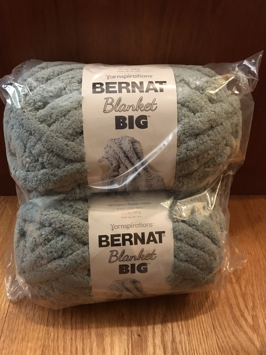 Bernat Blanket Big Yarn Chunky Yarn 2 Skeins Misty Green