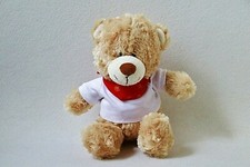 TCM Bär Teddy Pullover & Halstuch Plüschtier Stofftier Kuscheltier Tchibo (T175)