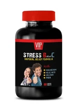 stress tablets for adults - STRESS SUPPORT FORMULA - digestion aid 1 BOTTLE