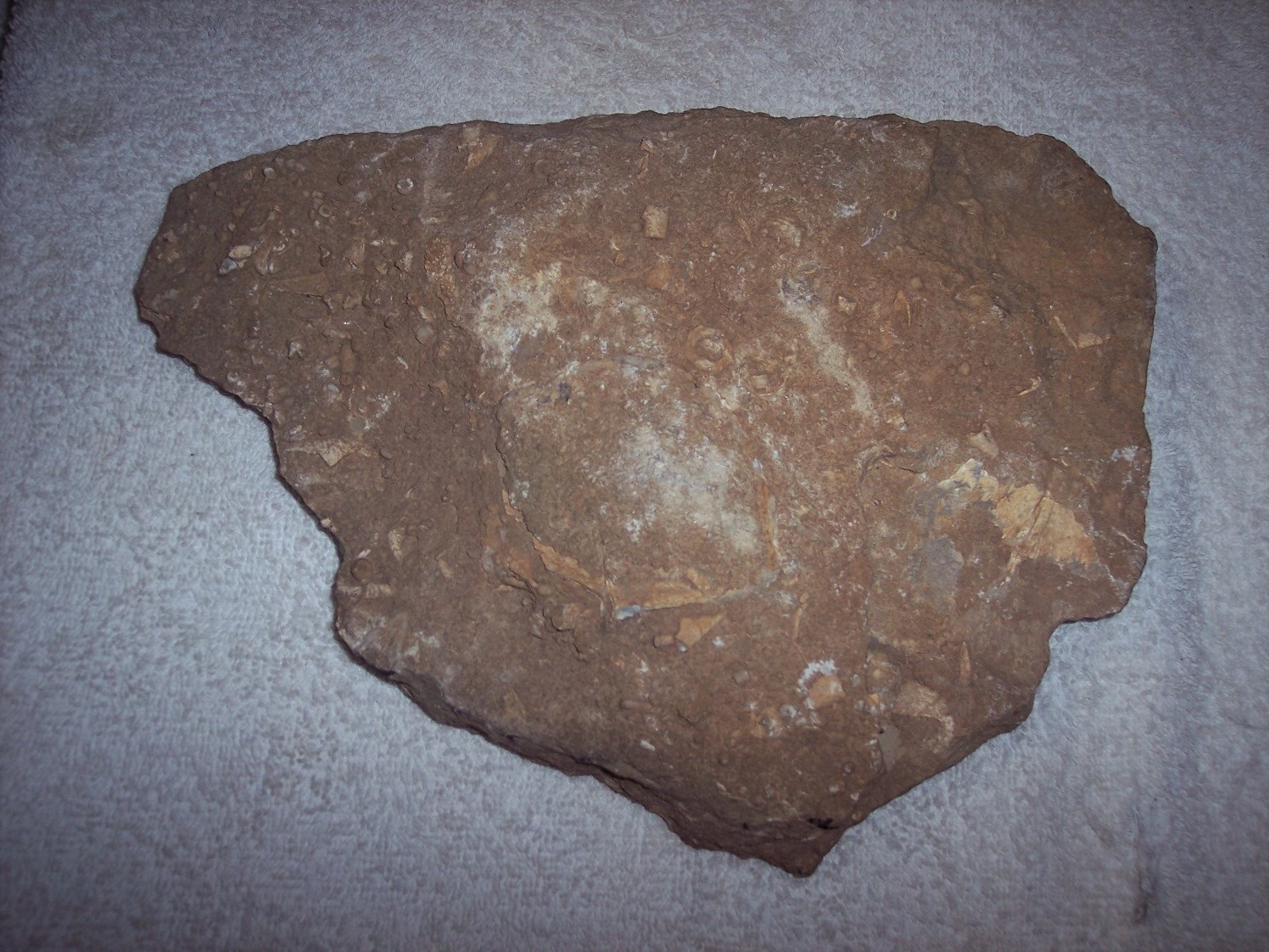 Picture 2 of 19