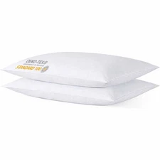 Thin Flat Slim Ultra Soft Bed Pillows Standard Size Set of 2 Pack for Sleepin...