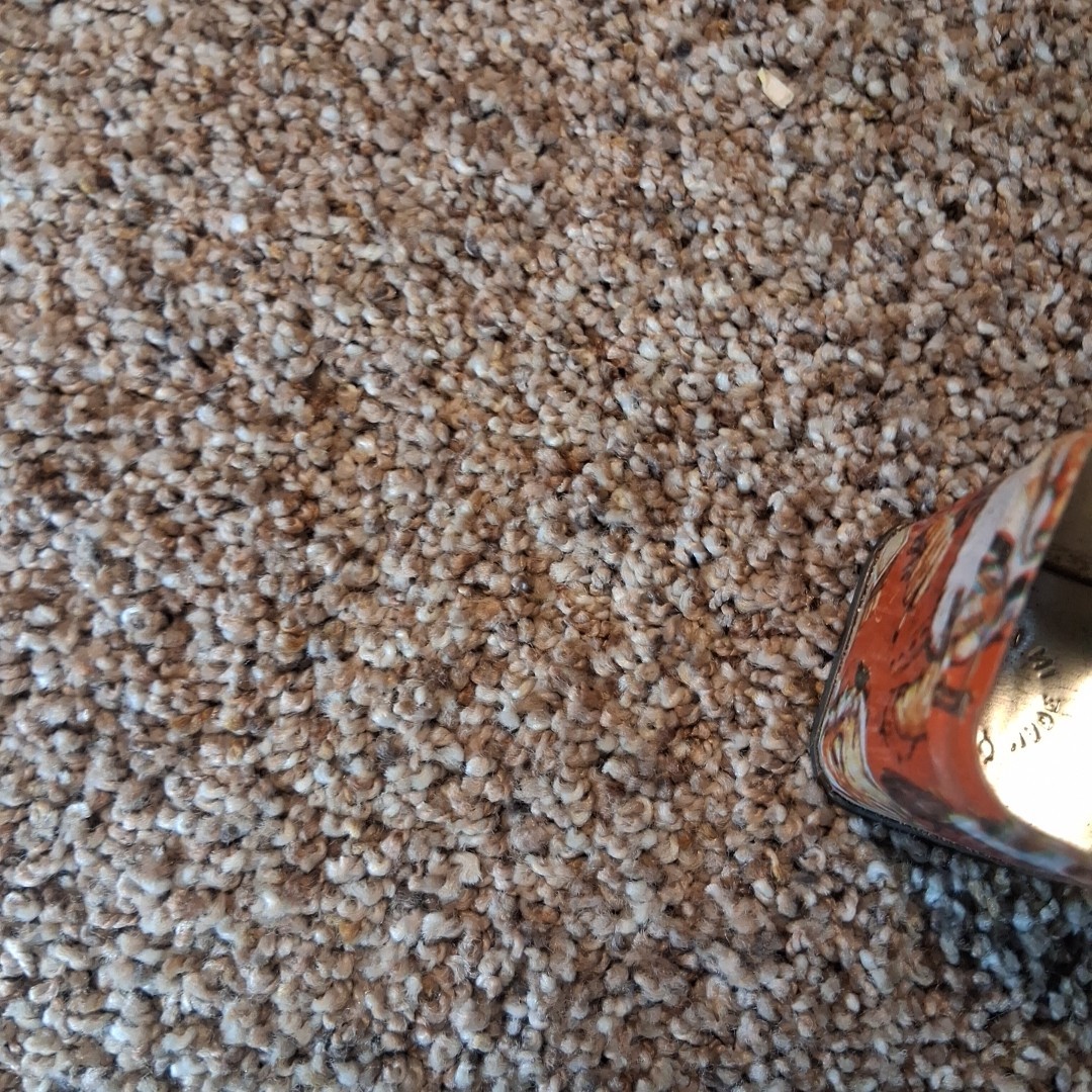 Picture 8 of 10