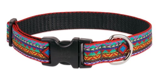 Correa o collar de por vida para perro Lupine - 1" - Estampado en manta de silla de montar - EL PASO - Imagen 7 de 10