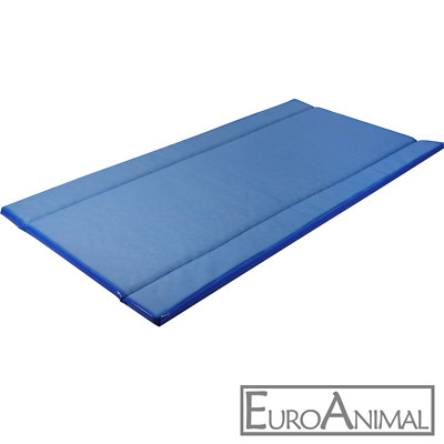 Huf-Desinfektionsmatte 180x90x4 cm Maul- und Klauenseuche Seuchenmatte