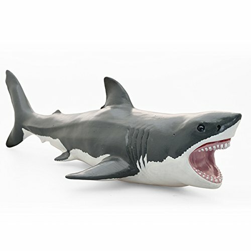 シャーク frag shark Shark Frenzy - Bellwether Media, Inc.