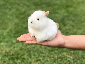 bunny stuffed animals