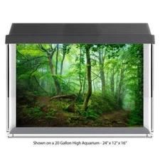 Lush Forest Trail Fish Tank Glass Back Drop Aquarium Back Ground New #041
