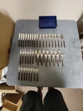 Vintage MCM GC Stainless Flatware with Faux Wood Handles Set of 46