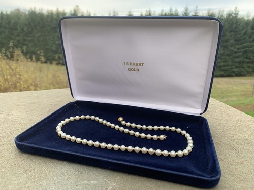 14kt Gold & Pearl Necklace